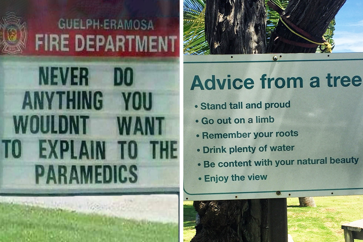 50 Pieces Of Funny Life Advice That s Just Pure Comedic Gold Bored Panda