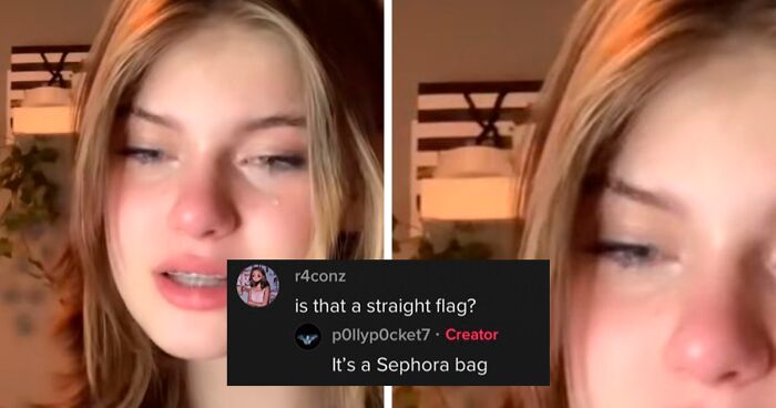 112 Funny And Unhinged Comments You Can Only See On TikTok, As Shared On This Twitter Page