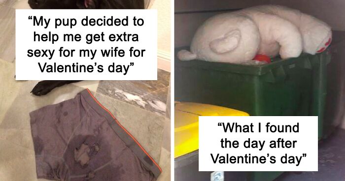 120 Romantic Gestures Gone Wrong: The Funniest Valentine's Day Fails