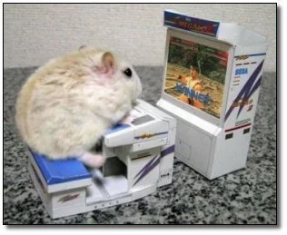 gaming-hamster_Yiz5Y-63e9dcbc1afc5.png