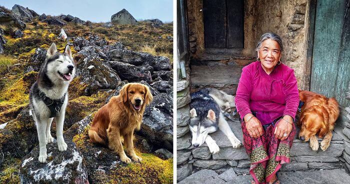 I Hiked For 18 Days With My Dogs, Reaching One Of The Highest Mountain Peaks - Mt. Manaslu