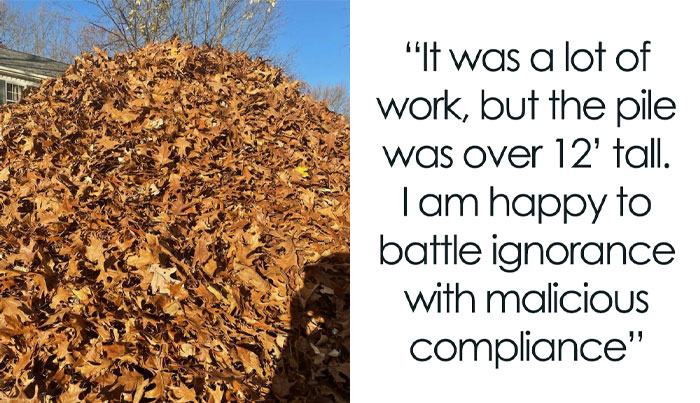 Man Buys The Rights To His Neighbors’ Leaves To Mess With Leaf Collection Company’s Ridiculous Rules By Building A Giant Pile