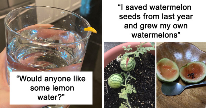 Welcome To “Mighty Harvest”: This Online Group Celebrates People’s Biggest Harvest Fails