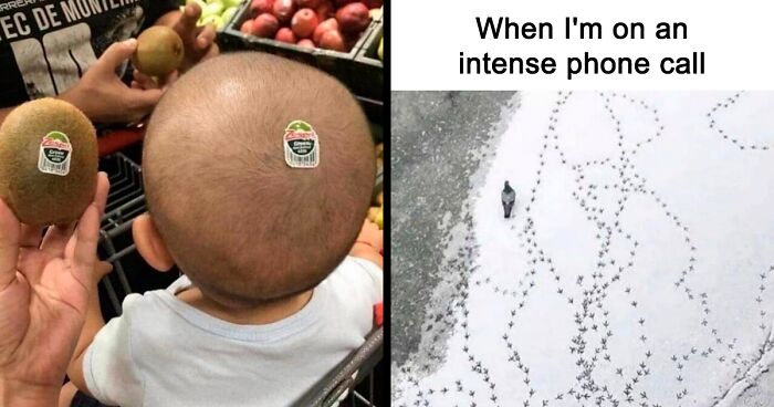 43 Nonsensical Pics That Are Just Too Hilarious To Ignore, As Shared By The 