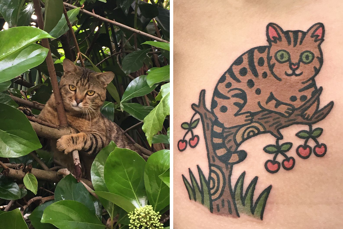 4hrs A cute ferret tattoo 🥹 1/2. Polarization Light 3. Just plain Old  light . . . . . . #tattoo #tattoos #ink #inked #art #tattooarti... |  Instagram