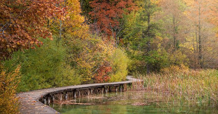 I Rediscovered Breathtaking Colorful Waterfalls At Plitvice Lakes, Croatia (28 Pics)