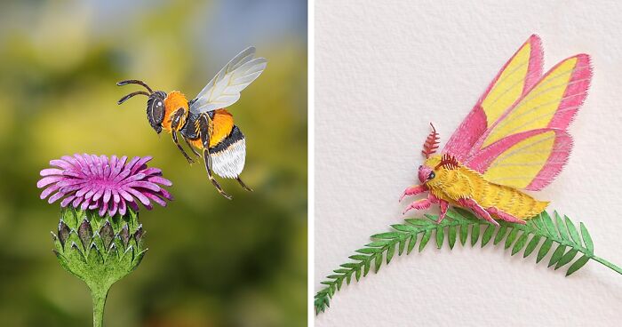 Through My Miniature Pollinator Art, I Bring Attention To The Vital Role Of Pollinators (98 Pics)