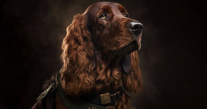 43 Realistic Portraits Of Dogs By Marjan Radovic Showing That They Are The Real Heroes