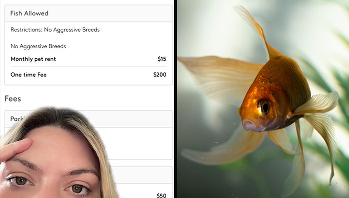 Woman Speechless Over Landlord Charging Her $200 Goldfish Fee And Adding Monthly $15 ‘Pet Rent’
