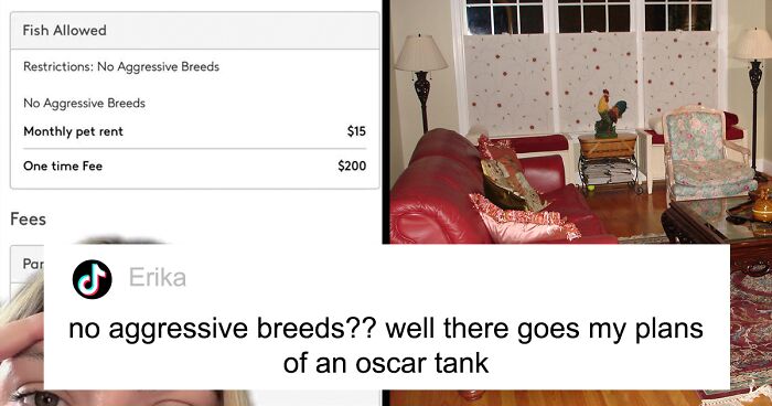 TikToker Shocked Over Landlord Charging Her $200 Goldfish Fee And Adding Monthly $15 ‘Pet Rent’