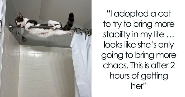 71 Rescue Pets Enjoying Their Lives After Finding New Homes (February Edition)