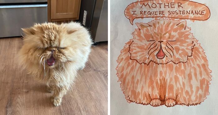 People Sent Pictures Of Their Pets To This Animal Shelter And Received A “Poorly” Drawn Copy In Return (31 Pics)