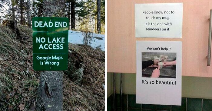 90 Hilarious Signs That Make Us Wonder What On Earth Their Backstory Is (New Pics)