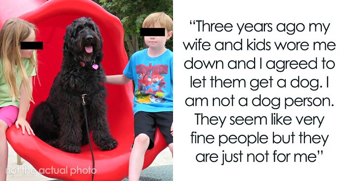 Dad Gives His Family An Ultimatum Of Taking Care Of Their Dog Or Else He Will Be Rehoming It