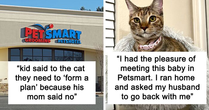 Wholesome Story Of A Boy Whispering His Address To A Cat At The Pet Store Because His Mom Said No, Goes Viral Capturing The Hearts Of Over 200k Twitter Users