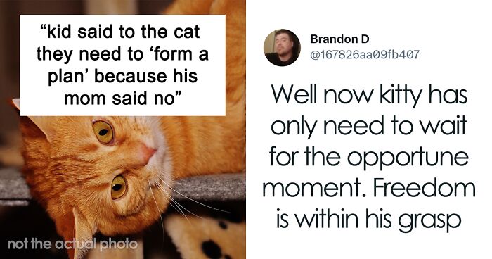 Wholesome Story Of A Boy Whispering His Address To A Cat At The Pet Store Because His Mom Said No, Goes Viral Capturing The Hearts Of Over 200k Twitter Users