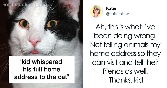 “They Need To ‘Form A Plan’ Because His Mom Said No”: Boy Tries To “Make A Deal” With Adoptable Cat To Secretly Bring Him Home, Goes Viral On Twitter