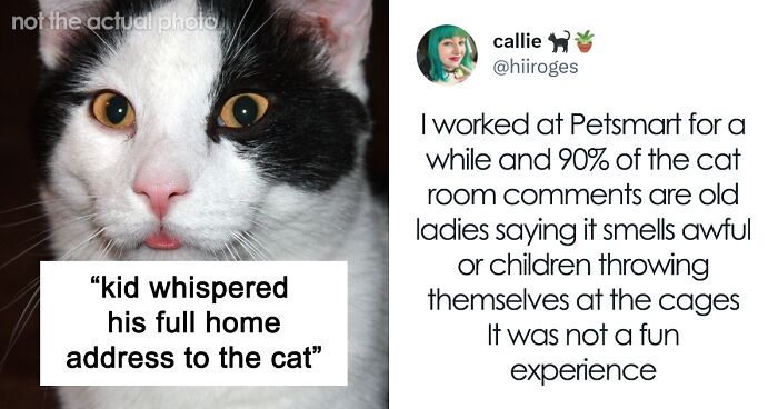 Wholesome Story Of A Boy Whispering His Address To A Cat At The Pet Store Because His Mom Said No, Goes Viral Capturing The Hearts Of Over 200k Twitter Users