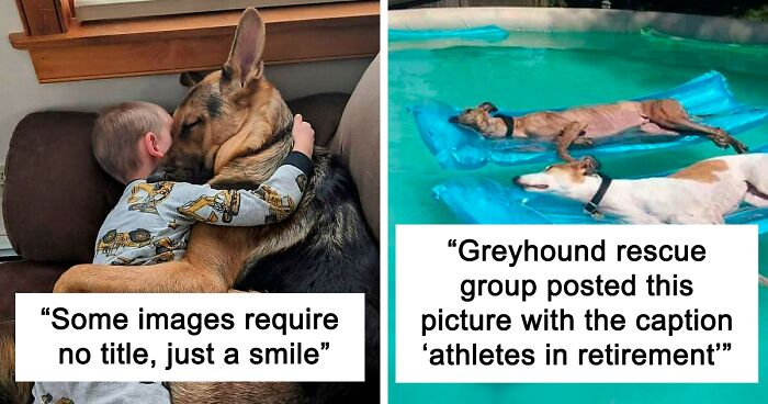 110 Uplifting Dog Posts To Make Your Day Better (New Pics)