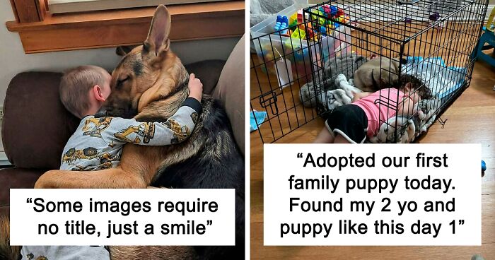 110 Of The Most Wholesome Dogs Posts That May Be Just What You Need To Get Through The Day (New Pics)