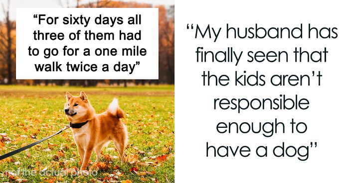 Woman Makes Her Husband And Children Prove They Can Take Care Of A Dog Before Getting One, Family Drama Ensues