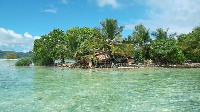 water around the ground with a small house and palms around