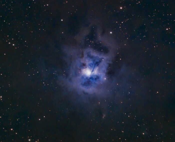 Ngc 7023 - The Iris Nebula