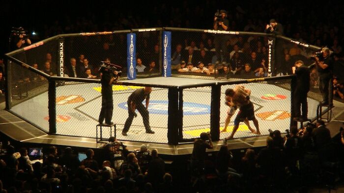 MMA Fighters Fighting In An Octagon And People Watching 