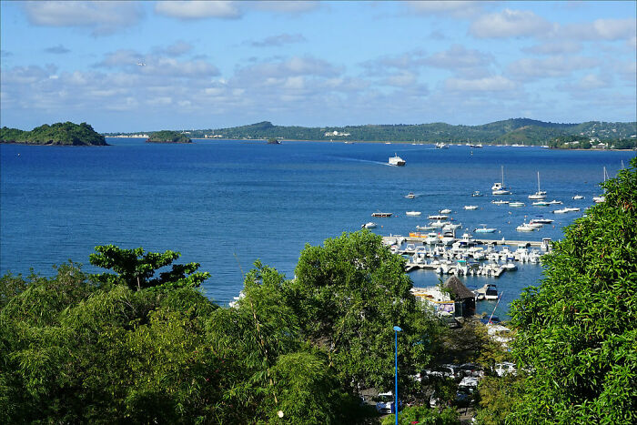 port in the sea behind the trees