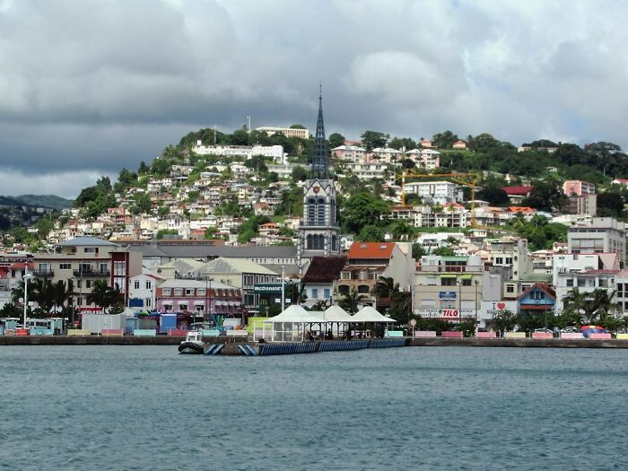 view on the city from the water