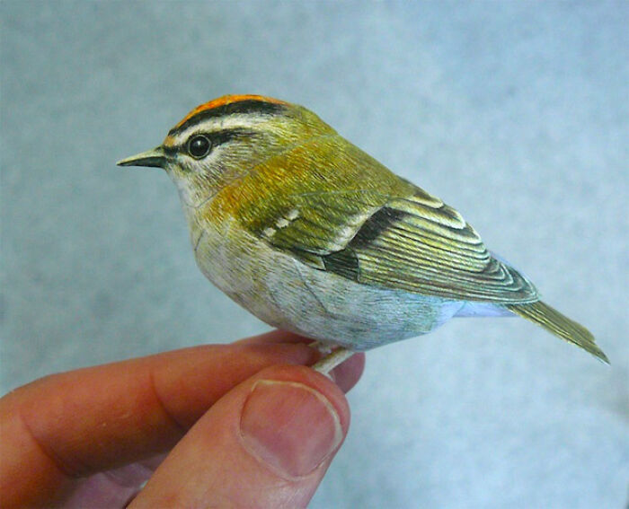 Realistic Birds Made From Paper And Watercolor Paint