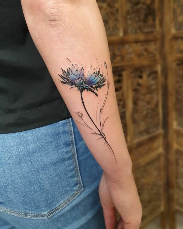 Cornflower tattoo on the right inner forearm
