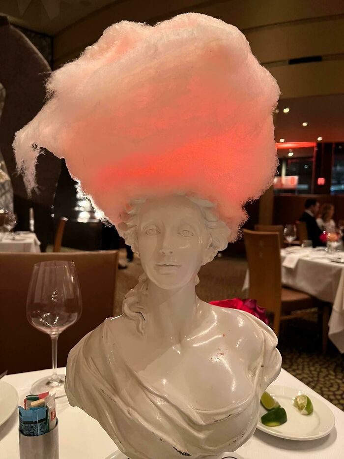 This Isn’t A Plate! The Wig Is Up!