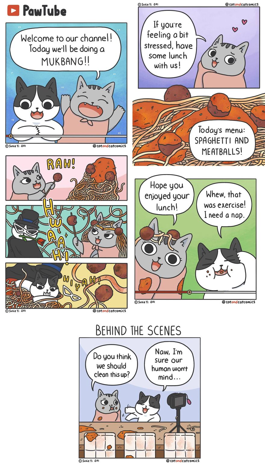 Artist Illustrates Hilarious Comics About The Lives Of Cats