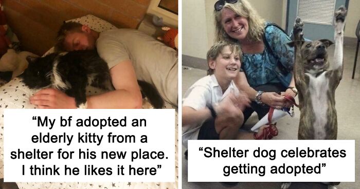 96 Heartwarming Pics Of Animals That Got A Second Chance And Found A New Home (March Edition)