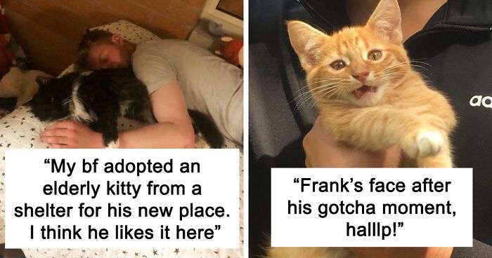 96 Heartwarming Pics Of Pets That Found Their New Home That Might Hopefully Restore Your Faith In The Good In The World (March Edition)