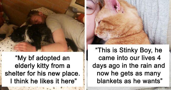 50 Heartwarming Pics Of Pets That Found Their New Home (March Edition)