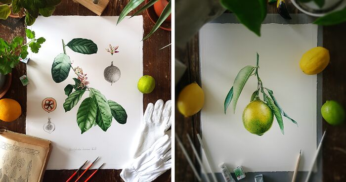 My Botanical Watercolor Illustrations Focus On Plants I Grow In My Own Garden, And Here Are My 37 Best Works