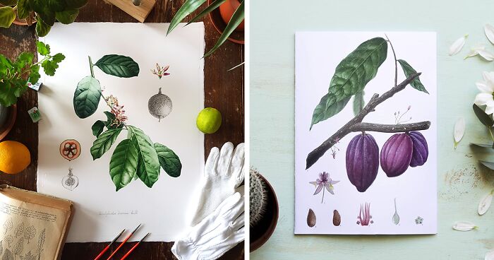 My Botanical Watercolor Illustrations Focus On Plants I Grow In My Own Garden, And Here Are My 37 Best Works