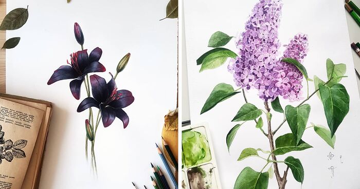 My Botanical Watercolor Illustrations Focus On Plants I Grow In My Own Garden, And Here Are My 37 Best Works