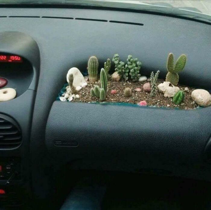 This Is All Good Until The Airbag Malfunctions From Moisture Damage And Your Passenger Takes A Cactus Through The Face At 300 Mph
