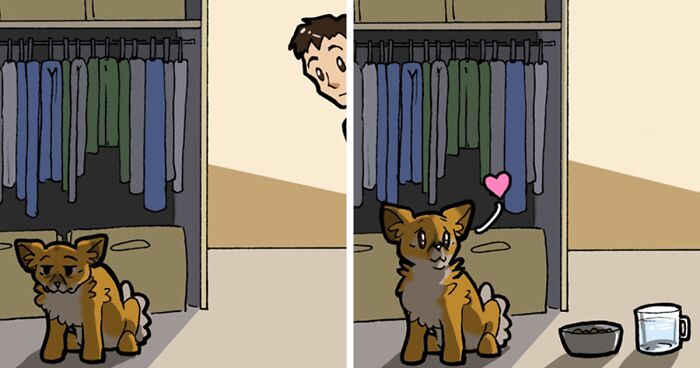 My Comics Present The Reality Of Being A Dog Owner (25 New Pics)