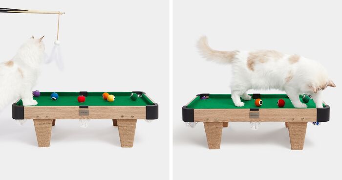 This Company Created A Mini Pool Table For Cats, And They Love It