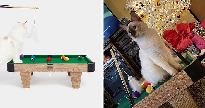 Catnip And Cue Sticks: This Company Created An Unusual Toy For Cats Shaped Like A Pool Table