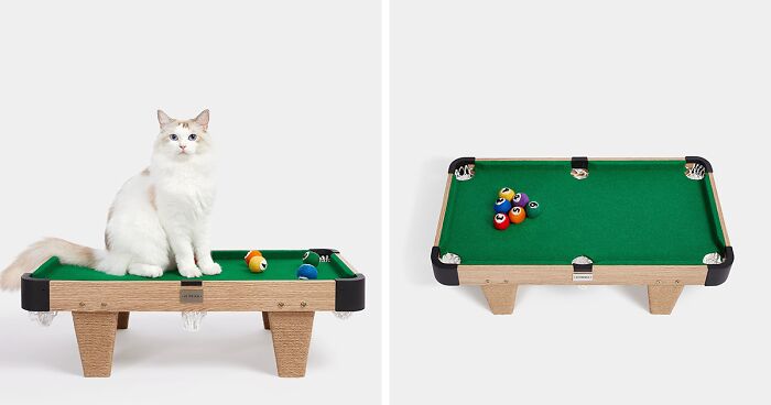 Interactive Mini Billiards For Cats: Perfect To Keep Your Pet Occupied