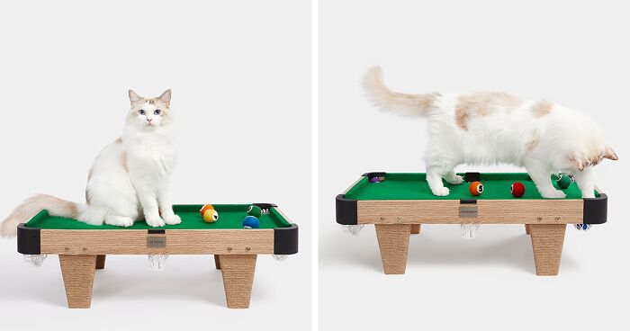 A Toy Shaped Like A Mini Pool Table For Cats That Also Doubles As A Bed, Created By This Company