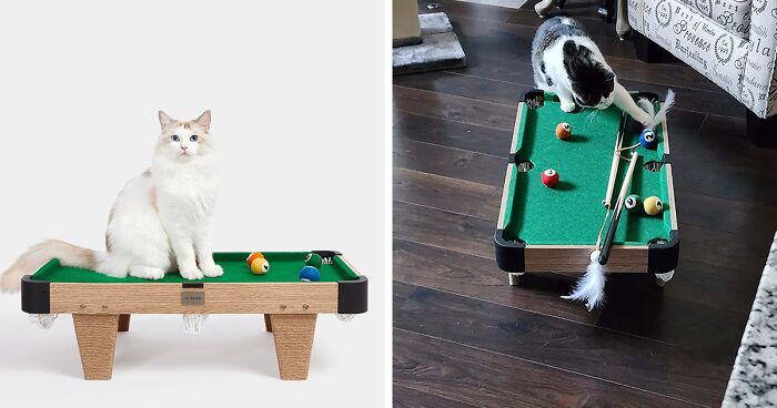 Interactive Mini Billiards For Cats: Perfect To Keep Your Pet Occupied