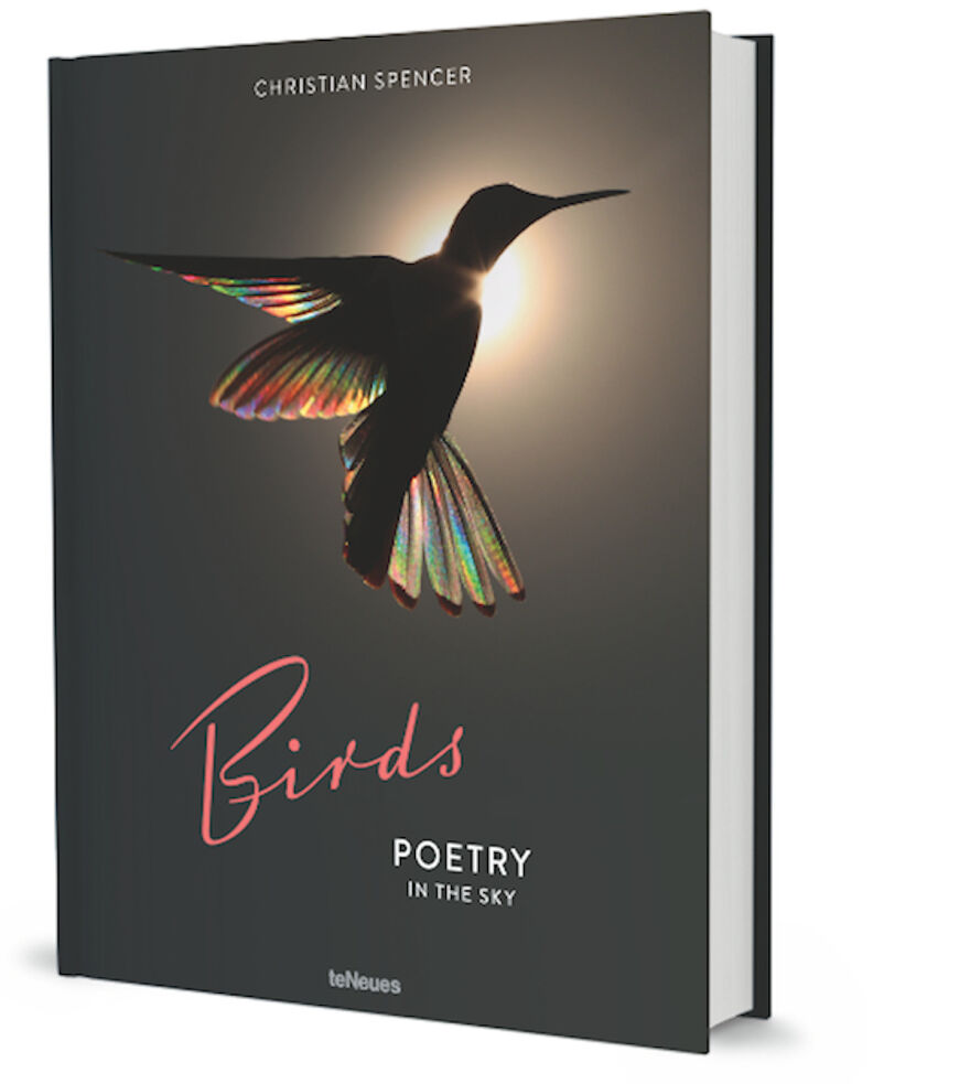 This Artist Captures Birds In Their Natural Habitat In His Photo Book "Birds Poetry In The Sky"