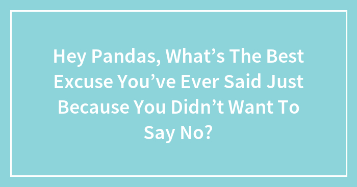 Hey Pandas, What’s The Best Excuse You’ve Ever Said Just Because You Didn’t Want To Say No? (Closed)