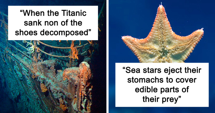 People Share 55 Unsettling Scientific Facts They Wish Weren't True